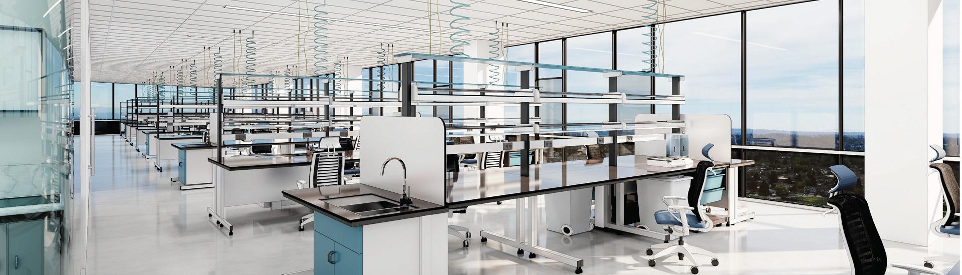 a lab